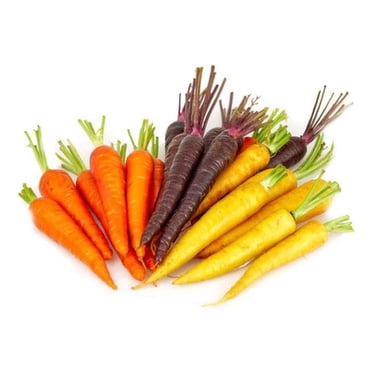 Carrots, Rainbow Organic, 2 lb