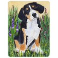 thumbnail image 1 of Carolines Treasures SS8216MP Entlebucher Mountain Dog Mouse Pad- Hot Pad & Trivet, 1 of 1