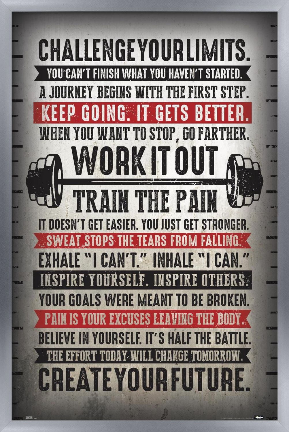 Challenge Your Limits Wall Poster