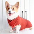 thumbnail image 4 of Pull pour Chien Vêtements Chauds d'Hiver avec Foulard, 4 of 11