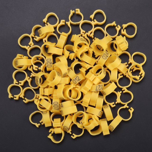 Leg Bands, 6 Different Colors Reusable Rings, For Letter