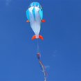 thumbnail image 4 of Large 3D Shaped for Kids And Adults with Long Colorful Lanyard blue, 4 of 8