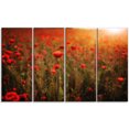 thumbnail image 2 of Champ de Pavot Dense au Coucher du Soleil - Impression d'Art de Toile Florale, 2 of 3