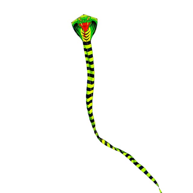 TISHITA Huge Colorful Kite with 100M Line Long Tail 3D Single Line Kite Easily Fly for Snake