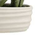 thumbnail image 4 of BOUCLAIR Plante Artificielle avec pot ovale, 4 of 6