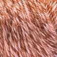 thumbnail image 2 of Caron® Simply Soft Sunkissed™ #4 Worsted (Medium) Acrylic Yarn, Fig Tonal 5oz/141g 248 Yards, 2 of 2