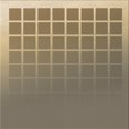 thumbnail image 1 of Ahgly Company Tapis d'Intérieur Carrés Transitionnels Brown Bear Bruns Lavables à la Machine, 5 Pieds Carrés, 1 of 7