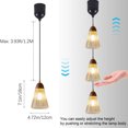 thumbnail image 4 of FSLiving Rechargeable Battery Operated Pendant Light with Remote,Nordic Style Hanging Light with Glass Clear Shade,Adjustable Height RGB Color,Timer,Dimmable Lamp for Bedroom (Walnut) - 1 Light, 4 of 6