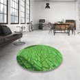 thumbnail image 4 of Ahgly Company Tapis d'Intérieur Lavable à la Machine, Carré, Transitionnel, Vert, Tapis de Zone, 6 Pieds Carré, 4 of 7