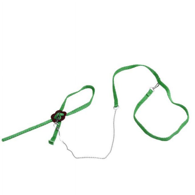 TIMIFIS Bearded Dragon Leash Adjustable Reptile Lizard Harness Leash Adjustable Hauling Cable Rope GN Reptile Tank Accessories ummer