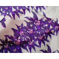 thumbnail image 4 of oneOone Silk Tabby Fabric Flower Artistic Printed Craft Fabric BTY 42 Inch Wide, 4 of 4