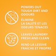 thumbnail image 2 of Arm & Hammer Liquid Laundry Detergent Clean Fresh Scent, 2 of 7