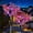 none, variant on CHUANK Solar Lights Outdoor Garden Decorative 2 Pack Solar Powered Phalaenopsis Flowers Lights Design Upgraded Solar Lights Outdoor Waterproof IP65 Solar Garden Decorations - Gardening