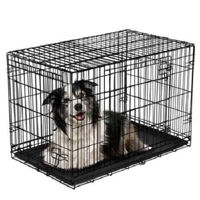 Vibrant Life Double-Door Metal Wire Dog Crate with Divider, 48 in, shown in a front 3/4 view with a black and white dog inside, featuring a heavy-gauge steel frame, removable black plastic tray, dual sliding latch doors on front and side for ventilation and easy access, foldable design for storage, and divider for separating smaller dogs.