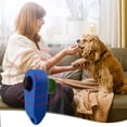 thumbnail image 4 of RKSTN Plastic dog trainer Dog Training Clicker Dog Training Clicker - Lightweight Easy To Use Pet Training Clicker For Cats Puppy Birds Horses Behavioral Training, 4 of 4