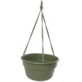 thumbnail image 1 of Bloem Panier Suspendu Dura Cotta 12 Po Vert, 1 of 1
