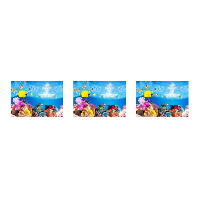 Youkk Beautiful PVC Aquarium Background Poster Vibrant Fish Tank Decoration Landscape 50x82cm 3Set