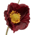 thumbnail image 3 of Bouclair Red Plum Poppy Stem, 3 of 3