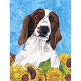 thumbnail image 1 of Carolines Treasures SC9078GF Welsh Springer Spaniel Drapeau - Taille Jardin, 1 of 3