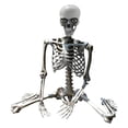 thumbnail image 1 of Décorations d'Halloween Accessoire Squelette Grandeur Nature - Modèle d'Anatomie Humaine Articulations du Corps Entier Articulées pour Fêtes et Événements Extérieurs, 1 of 7