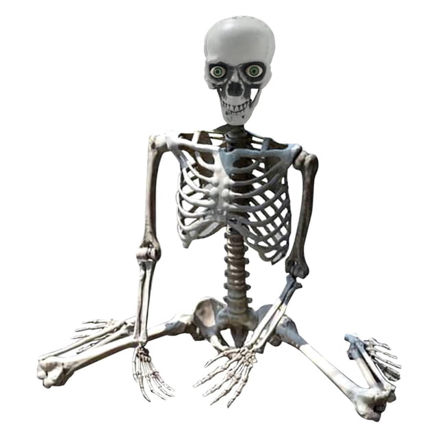 Décorations d'Halloween Accessoire Squelette Grandeur Nature - Modèle d'Anatomie Humaine Articulations du Corps Entier Articulées pour Fêtes et Événements Extérieurs