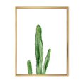thumbnail image 1 of Designart Green Cactus South Western Plant Botanical Detail FLOAT FRAME WALL ART, 1 of 4