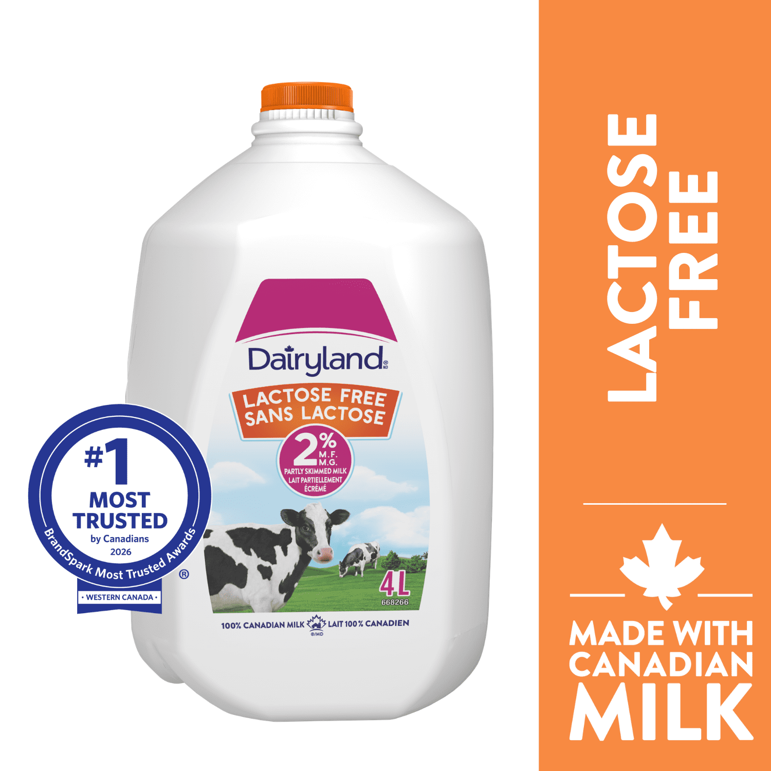 Dairyland Lait Partiellement Écrémé 2 % Sans Lactose