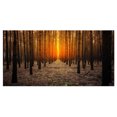 thumbnail image 2 of Halloween Themed Spooky Dark Forest - Oversized Forest Canvas Art, 2 of 3