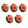 thumbnail image 4 of Wweixi 5pcs/set Artificial Lotus Realistic Appearance Easy To Clean Long-lasting sunset red 5Set, 4 of 6