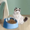 thumbnail image 5 of Bol pour Chat et Chien 15 Degrés Surélevé Antidérapant Cou Incliné Surélevé Acier Inoxydable Bleu, 5 of 5