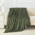 thumbnail image 1 of Mainstays Plush Throw Blanket Green, 1 of 7