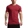 thumbnail image 1 of BOBOGOJP T-Shirt en Coton à Manches Courtes T-Shirt à Manches Courtes à Col Rond T-Shirt Doux et Léger Hauts (Vin,G), 1 of 3