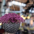 thumbnail image 4 of Flowers Artificial for Decoration,Flowers for Decoration Simulation Violet Artificial Flowers Outdoor Protection Artificial Flowers Garden Decoration Artificial Flowers, 4 of 4