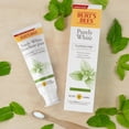 thumbnail image 4 of Burt's Bees Toothpaste, Fluoride Free, Purely White, Zen Peppermint 105ml, 4 of 6