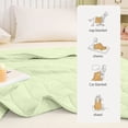 thumbnail image 1 of Nilvkv Summer Quilt Summer Quilt Summer Cool Quilt Washable Air Conditioner Quilt Core, 1 of 1