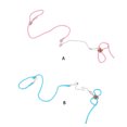 thumbnail image 2 of Thinsony Corde Réglable Compacte et Légère pour Hamster Marche Premium Hamster Harnais Corde Bleu Clair, 2 of 6