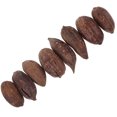 thumbnail image 3 of 8pcs Bird Chewing Dried Fruit Natural Parrot Foraging Toys Chewing Accessories for Budgie Parakeet, 3 of 9