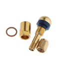 thumbnail image 1 of pitrice 4 Pcs Car Tubeless Wheel Dust Caps Tire Valve Stems Golden + Black, 1 of 9