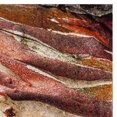 thumbnail image 2 of SAFAVIEH Glacier Aleesha Tapis Abstrait, 2 of 6