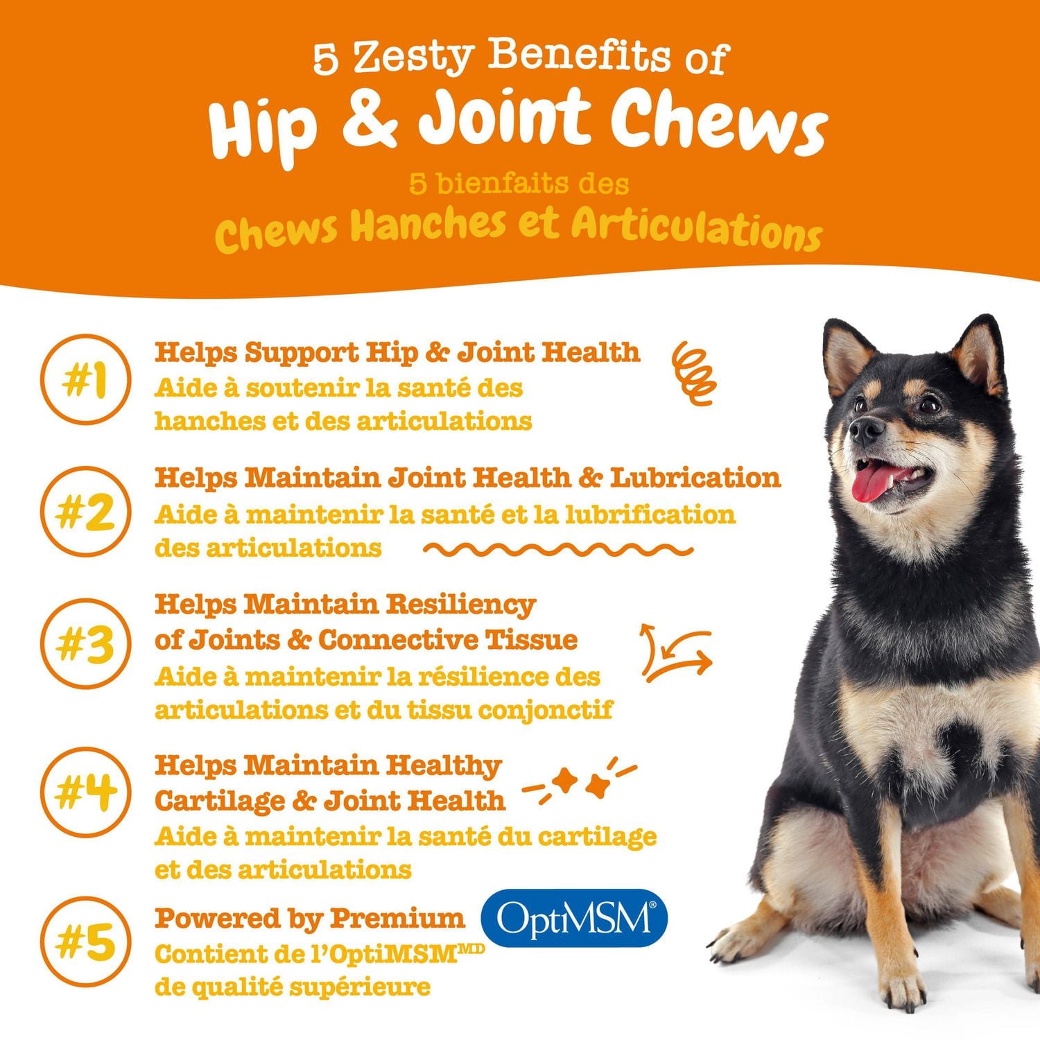 Zesty Paws Mobility Chews, supplément de saveur de canard pour chiens, 60 ct