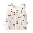 thumbnail image 2 of Baby Clothes for Girls Warm Sleeveless Top For 0 To 2 Year Old, Fall And Winter Inner Quilted Sleeveless Top, Three-layer Warm Sleeveless Top Girls Clothes on Clearance, 2 of 7