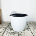 thumbnail image 3 of Wall-Mounted Flower Pot Automatic Water-Absorbing Plastic Green Dill, 3 of 8