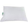 thumbnail image 1 of BodyBest Oreiller en Vinyle Format Standard 18x24 Pouces Essuyable, 1 of 3