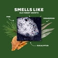 thumbnail image 4 of DR. SQUATCH Men's Natural Non-Exfoliating Body Wash - Pine Tar - 14 fl oz, 4 of 5