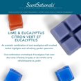 thumbnail image 3 of ScentSationals Scented Wax Cubes - Citrus & Eucalyptus Leaf, 3 of 4