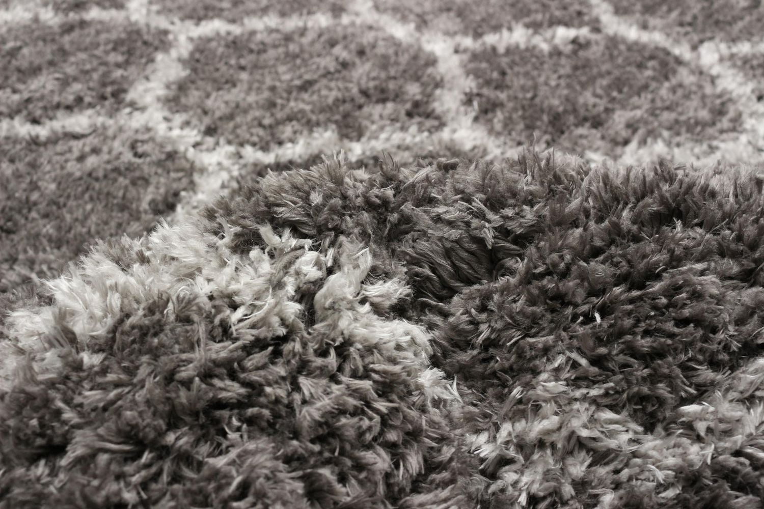 ECARPET Super Soft Shag Area Rug for Living Room, Bedroom and Basement, Trellis Design