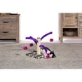 thumbnail image 2 of Prevue Pet Bounce 'n Spring Just Cat Scratcher, 2 of 5