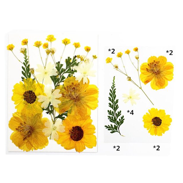 Natural Real Dried Flower Plants For Candle Epoxy Resin Jewelry Making Craft DIY