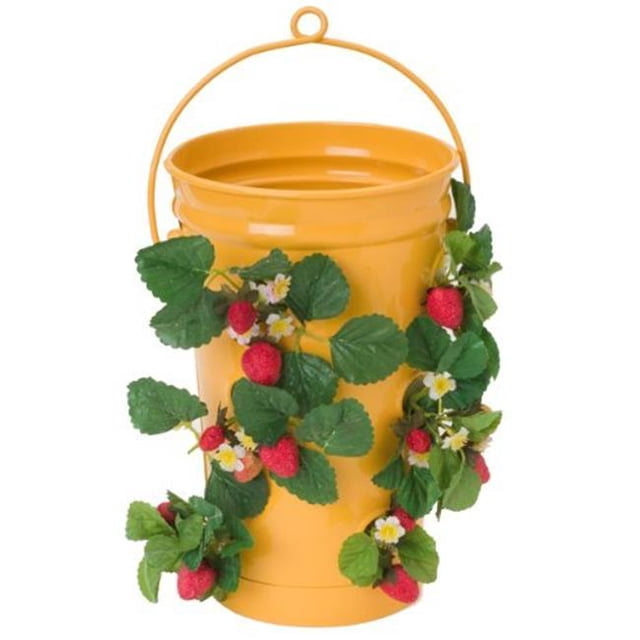 Enameled Galvanized Strawberry & Flower Planter, Saffron