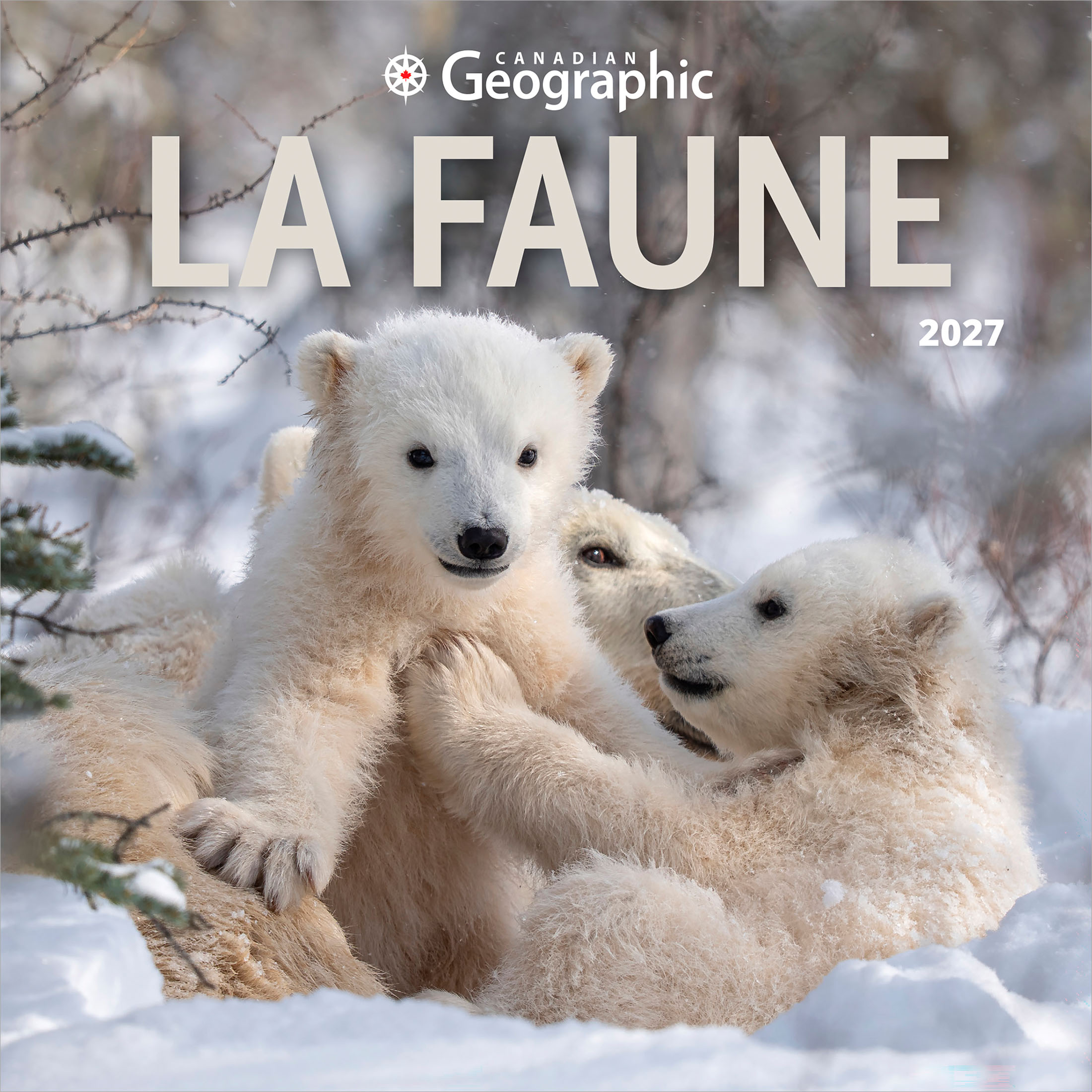 Canadian Geographic La faune 2027 Format mini Français